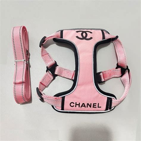 chanel dog accessories.